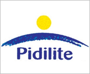 Pidilite-Building-Bonds